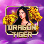 c5411 casino Rồng Hổ
